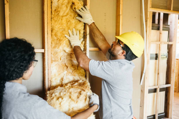 Insulation Replacement Services in North Logan, UT